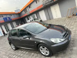 Peugeot 307 1.4 2004 Gris