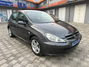 Peugeot 307 1.4 2004 Gris