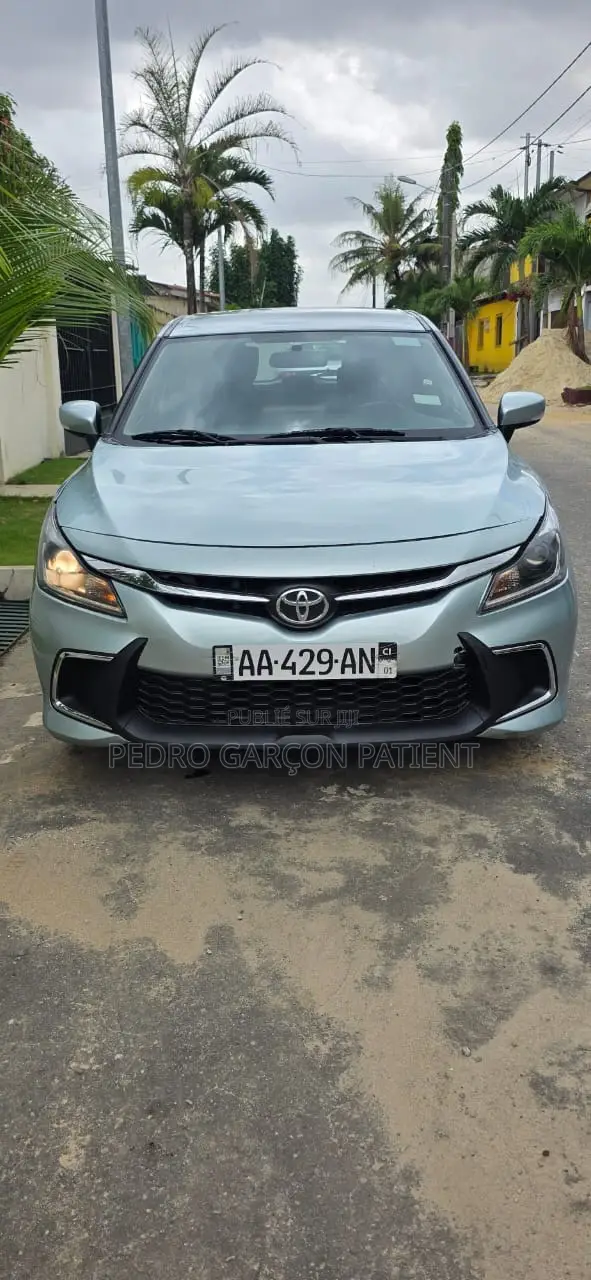 Toyota Starlet 2024 Gris