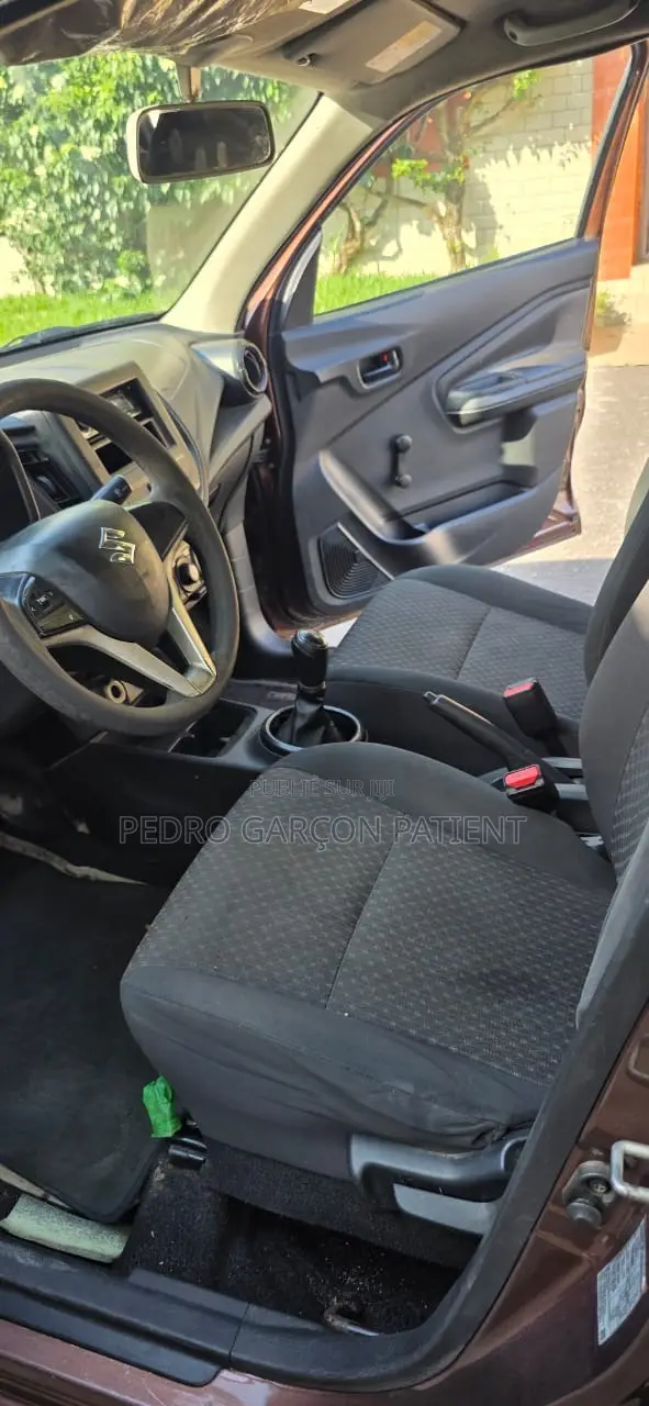 Suzuki Celerio 2023 Marron