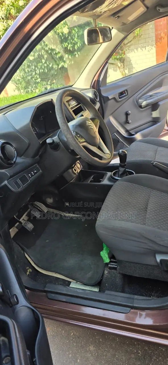 Suzuki Celerio 2023 Marron