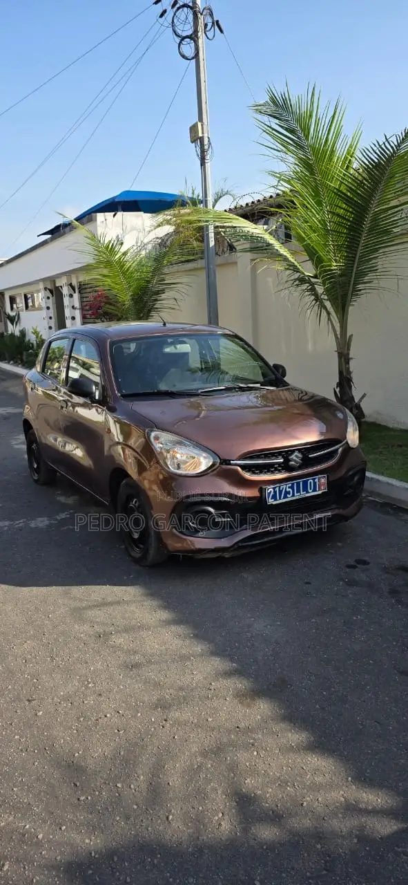 Suzuki Celerio 2023 Marron