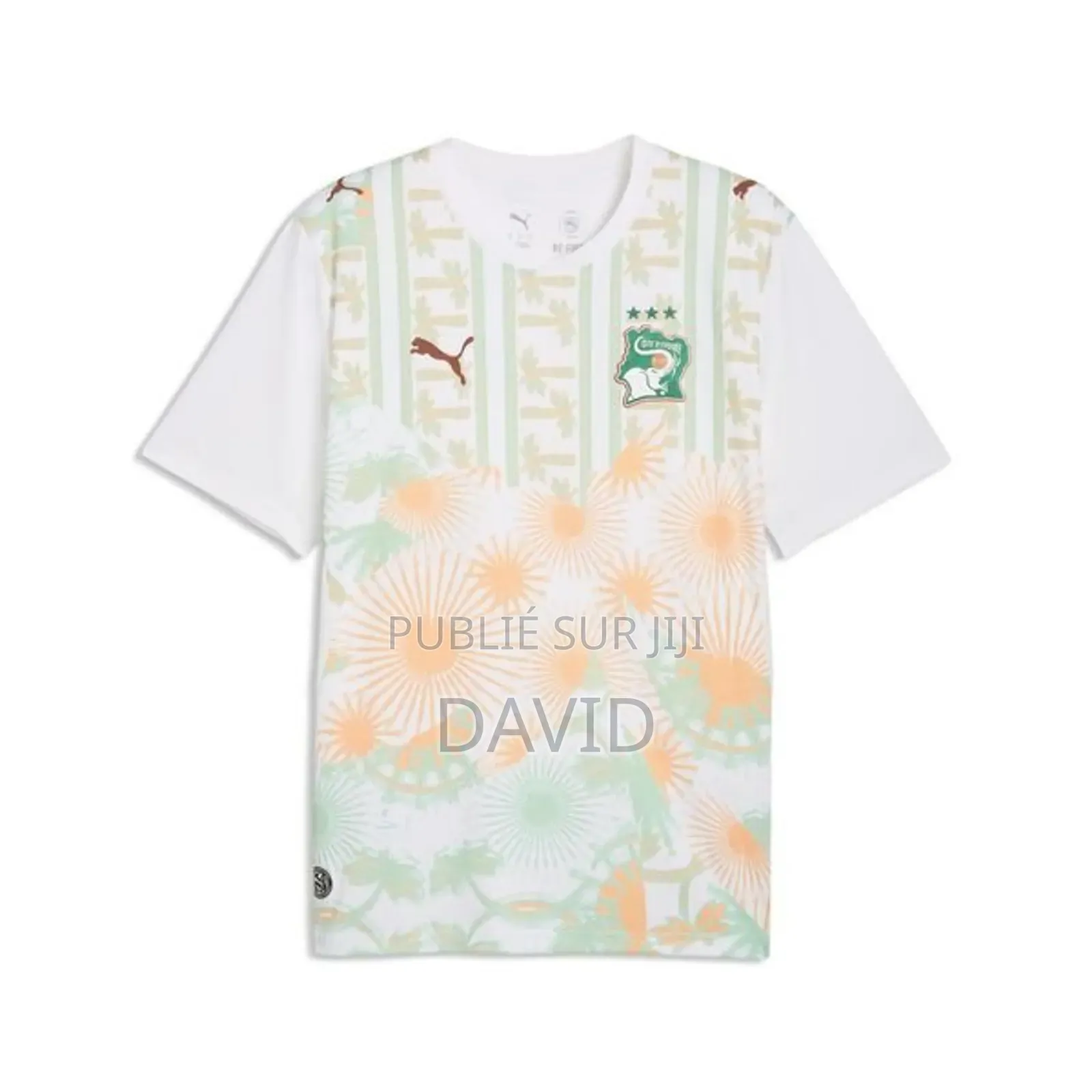 Maillot De La Côte d'Ivoire