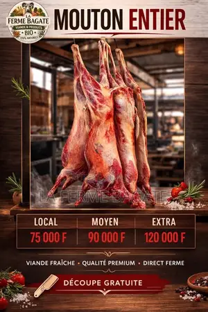Mouton Entier Frais