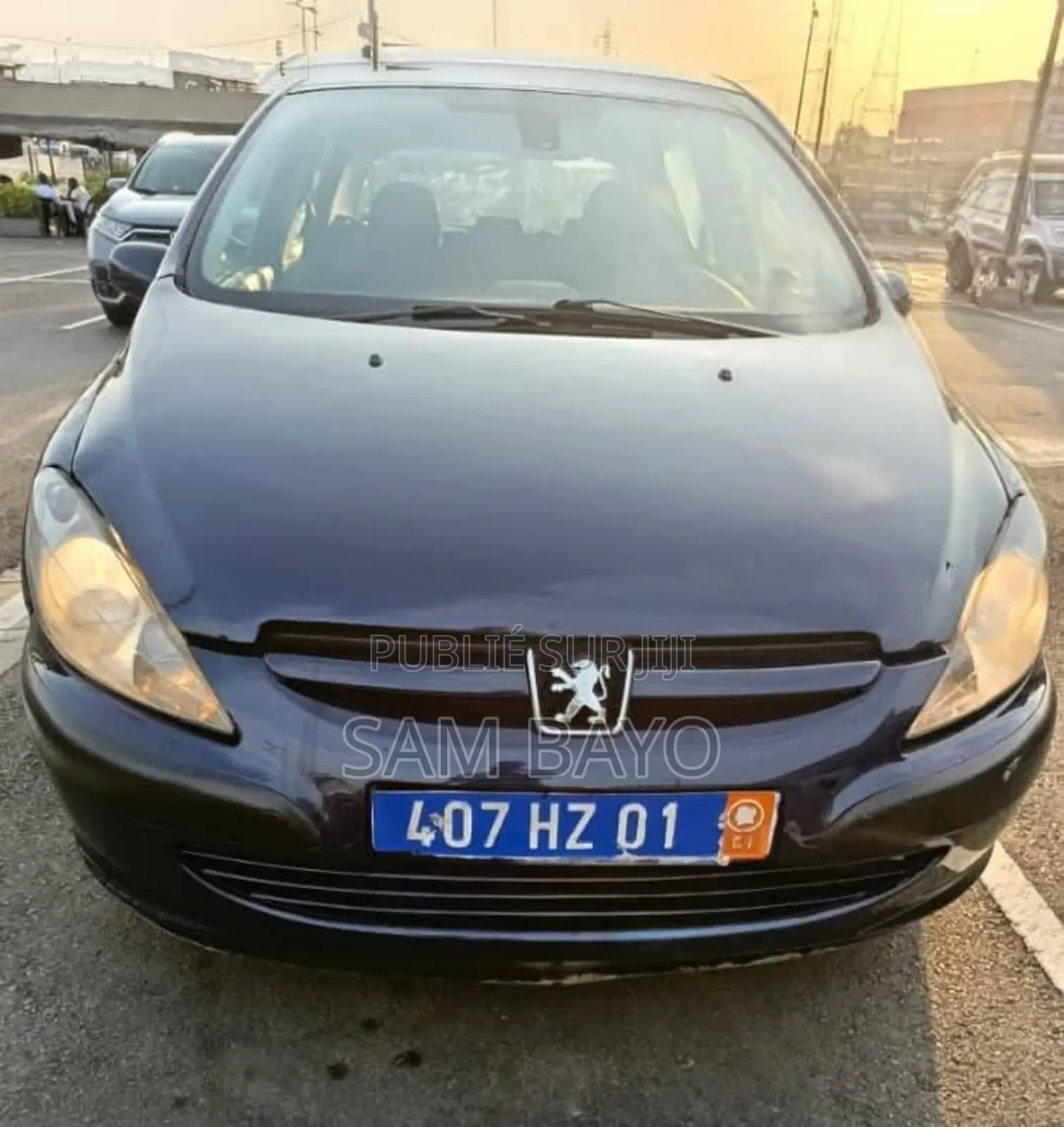 Peugeot 307 2005 Bleu