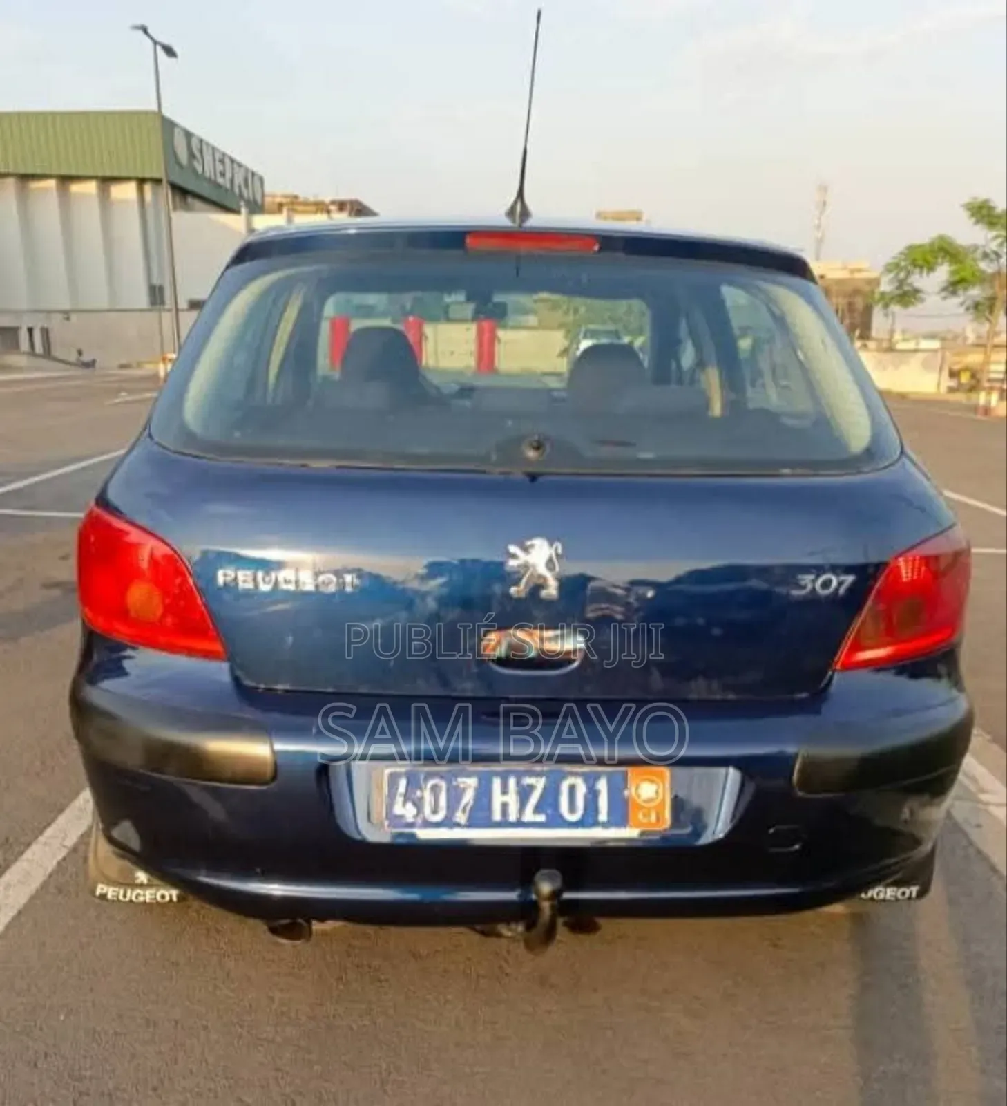 Peugeot 307 2005 Bleu