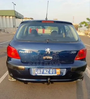 Peugeot 307 2005 Bleu