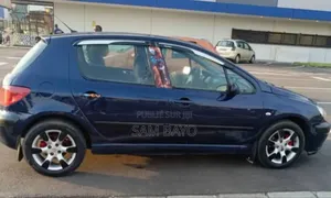Peugeot 307 2005 Bleu