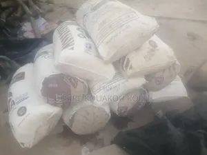 Manioc Ivoire