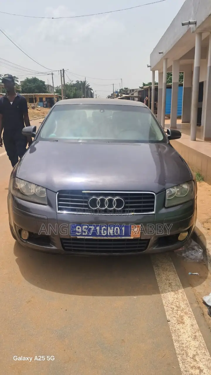 Audi A3 2003 Gris
