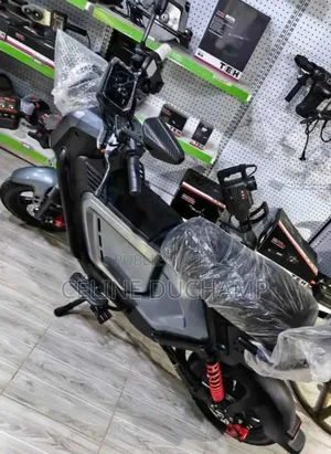 Nouveau Beth ZONTES 250 V 2022 Argenté