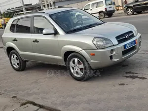 Hyundai Tucson 2009 Gris
