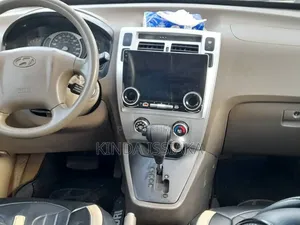 Hyundai Tucson 2009 Gris