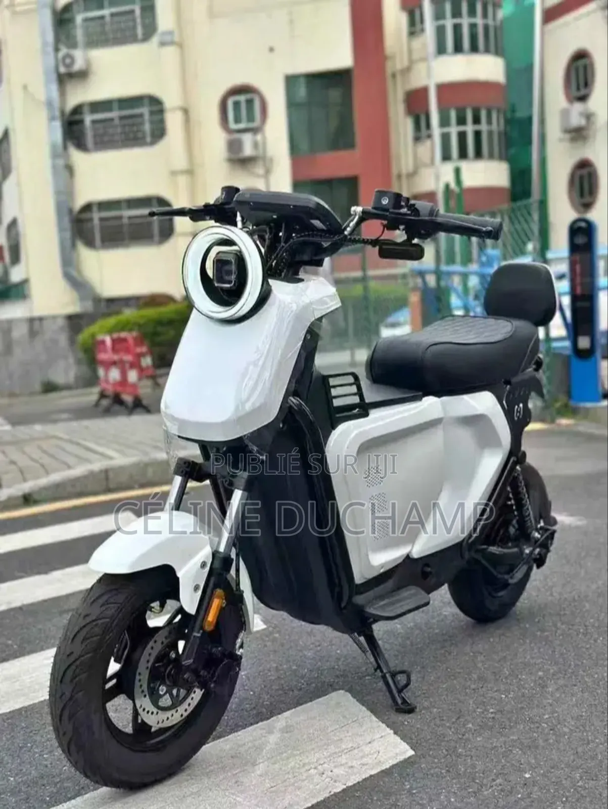 Nouveau Beth ZONTES 250 V 2022 Argenté