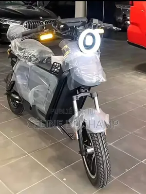 Nouveau Beth ZONTES 250 V 2022 Argenté