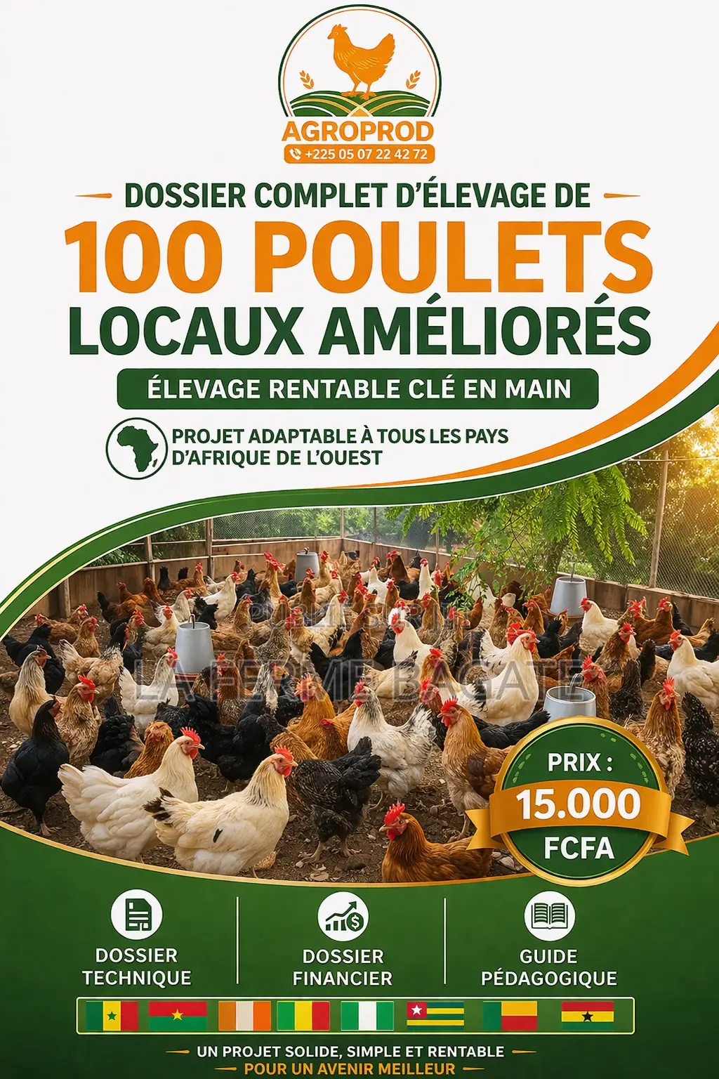 Projet Redigé D’Élevage De 100 Poulets Locaux Améliorés
