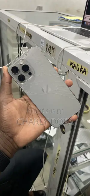 Apple iPhone 15 Pro Max 256 GB Argenté