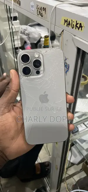 Apple iPhone 15 Pro Max 256 GB Argenté