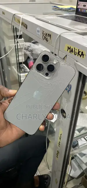 Apple iPhone 15 Pro Max 256 GB Argenté