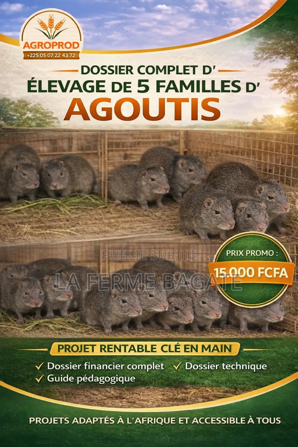 Projet Clé en Main D’Élevage De 5 Familles D’Agoutis