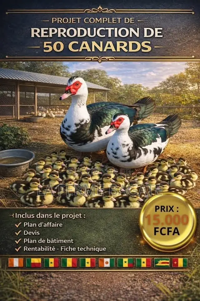 Projet Clé en Main D’Élevage De 50 Canards