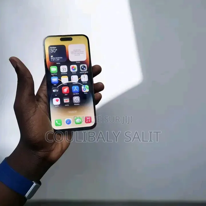 Nouveau Apple iPhone 15 Pro Max 256 GB Autre