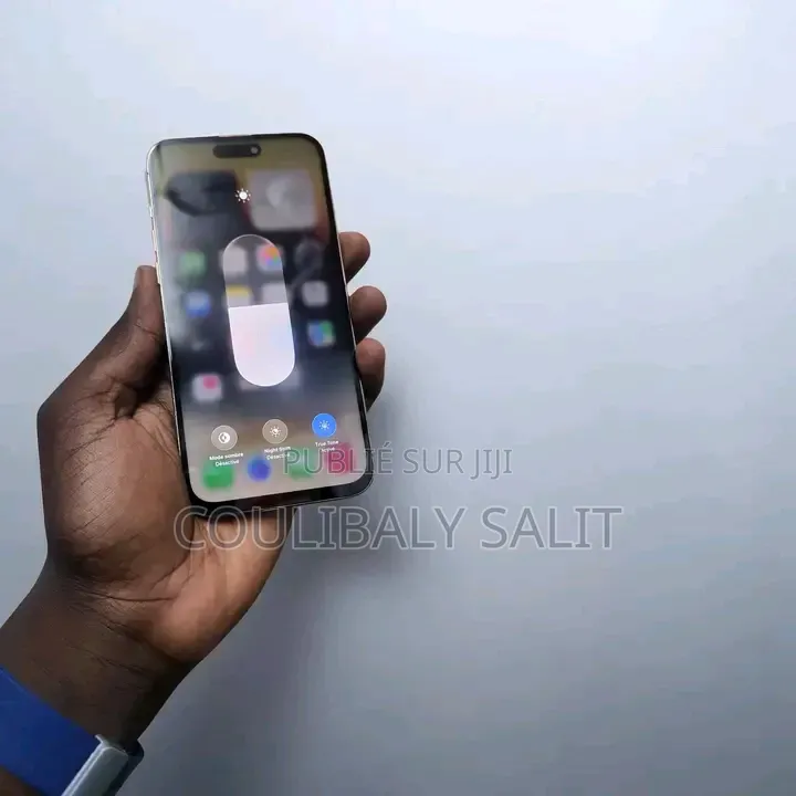 Nouveau Apple iPhone 15 Pro Max 256 GB Autre