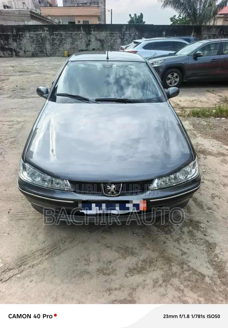 Peugeot 406 2002 Gris
