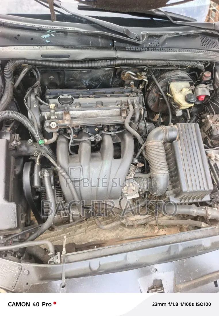 Peugeot 406 2002 Gris