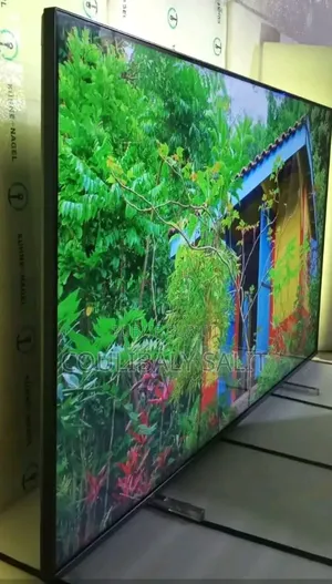 Télévision