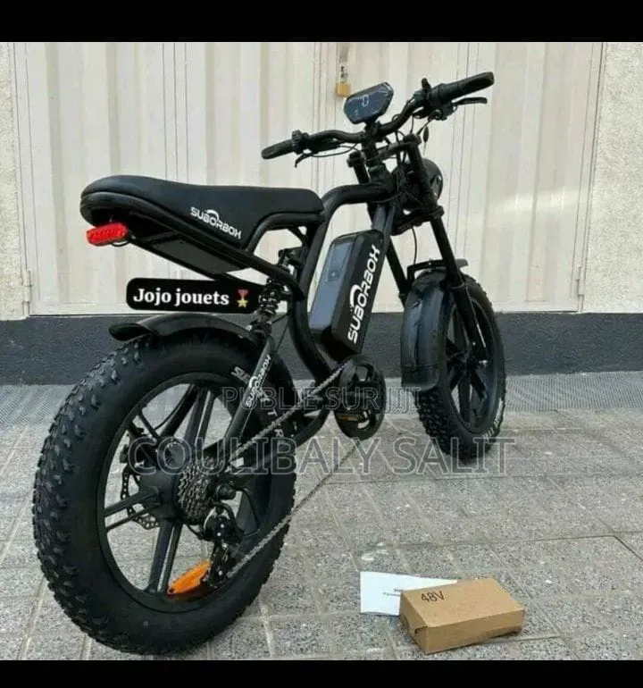 Vélo Électrique