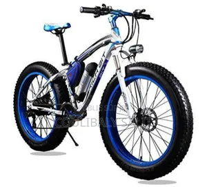 Vélo Électrique