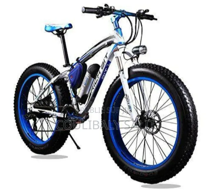 Vélo Électrique