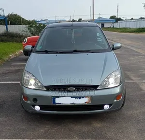 Ford Focus 2002 Gris