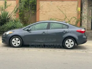 Kia Forte 2016 Gris