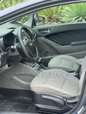 Kia Forte 2016 Gris
