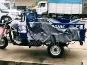 Nouveau Apsonic AP150-175A 2024 Autre