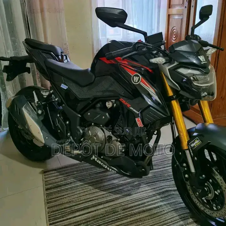 Nouveau Haojue DR300 2025 Noir