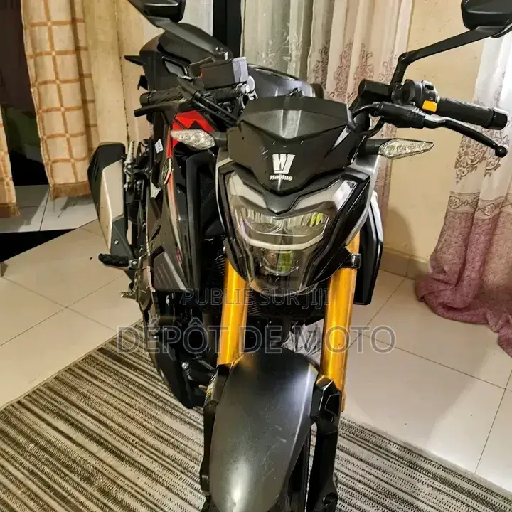 Nouveau Haojue DR300 2025 Noir