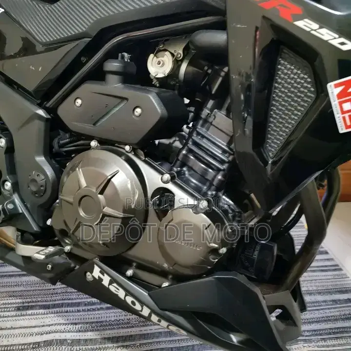 Nouveau Haojue DR300 2025 Noir