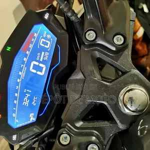 Nouveau Haojue DR300 2025 Noir