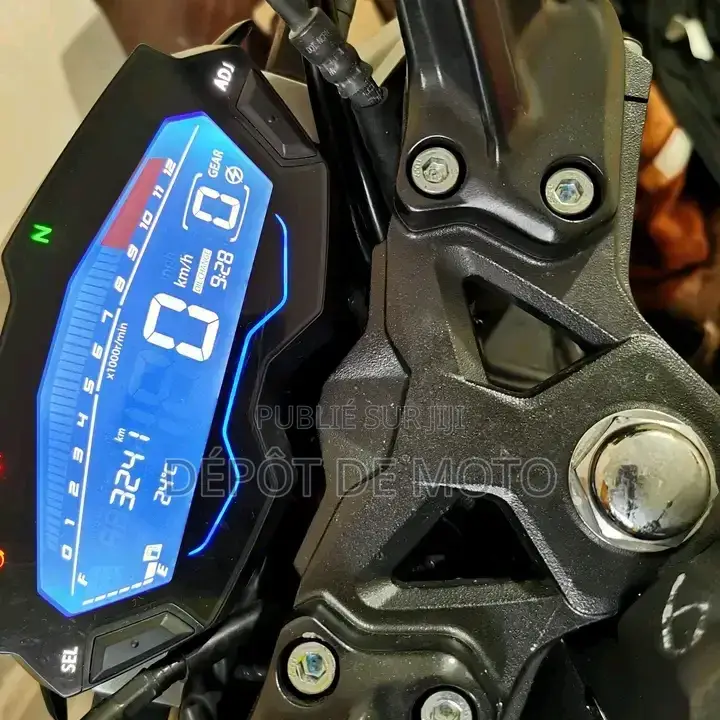 Nouveau Haojue DR300 2025 Noir