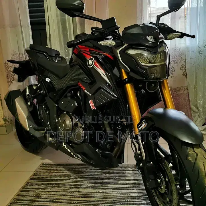 Nouveau Haojue DR300 2025 Noir