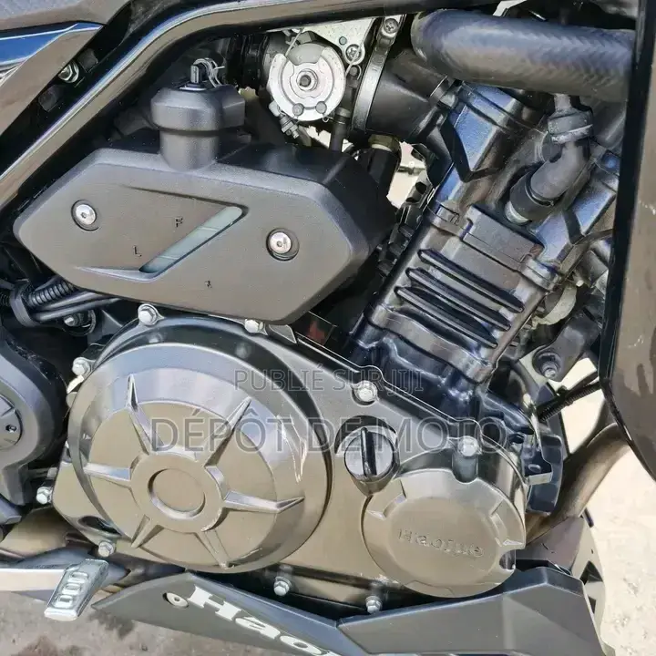 Nouveau Haojue DR300 2025 Noir