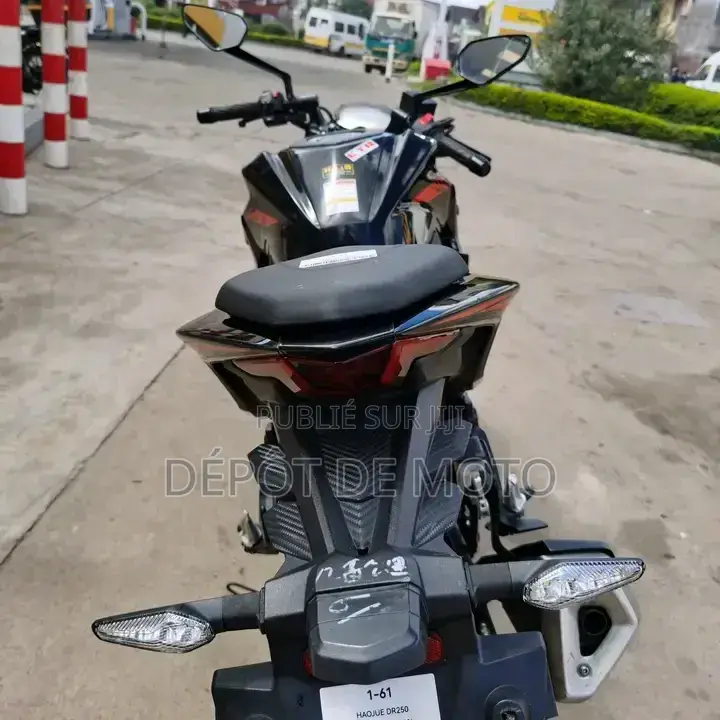 Nouveau Haojue DR300 2025 Noir