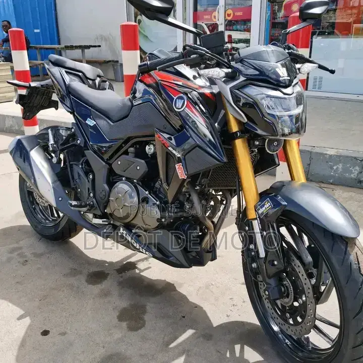 Nouveau Haojue DR300 2025 Noir