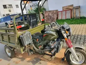 Nouveau Apsonic AP150ZH-200 2025 Vert