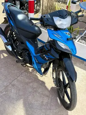 Nouveau TVS Rockz 125 2024 Bleu