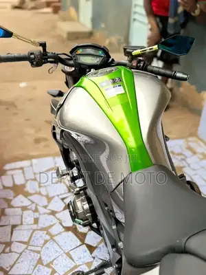 Nouveau Kawasaki Autre 2015 Vert