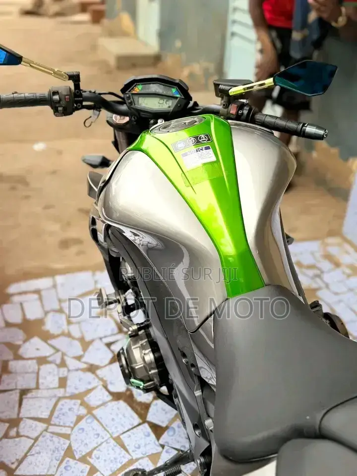 Nouveau Kawasaki Autre 2015 Vert